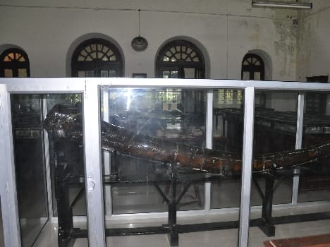 Geology museum in Science College