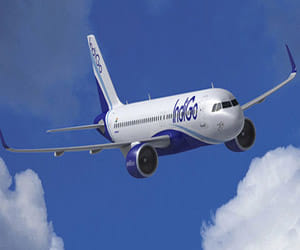 indigo airlines staff rescued from kashmir