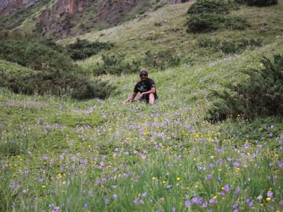 another valley of flower in uttarakhand