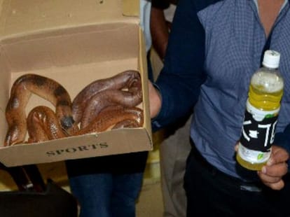 Flight smuggling in uttar pradesh.