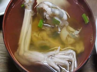 japanese restaurant where frogs are being served raw