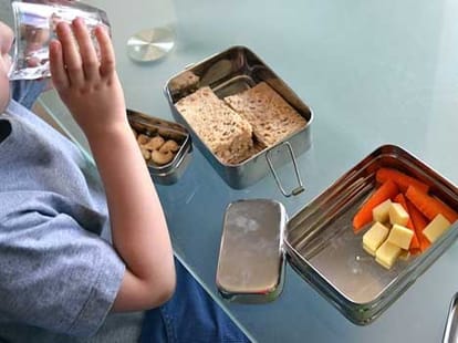 tips for purchasing lunch box   
