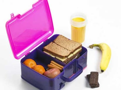 tips for purchasing lunch box   
