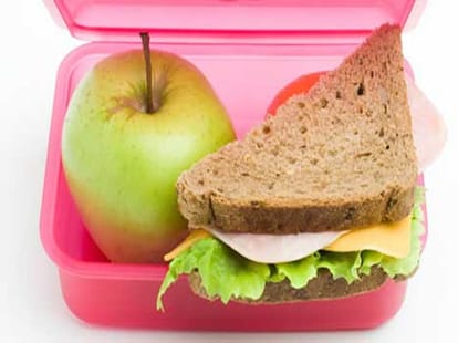 tips for purchasing lunch box   