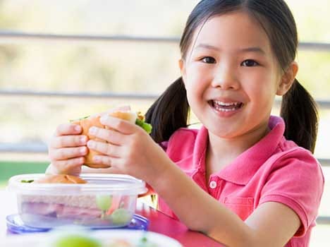 tips for purchasing lunch box   