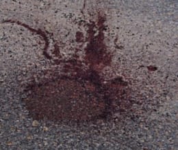 Road accident in greater noida, 3 friends dead.
