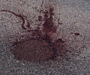 car accident in dehradun