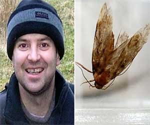 live moth taken out of man's ear