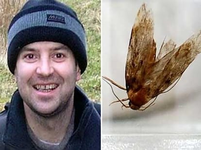 live moth taken out of man's ear