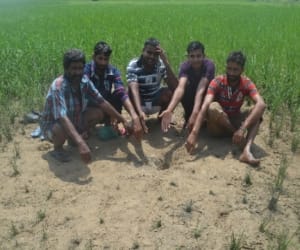 pakistan army targeting indian farmers