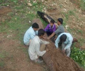 making check dam by pine leaf in uttarakhand