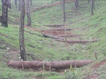 making check dam by pine leaf in uttarakhand