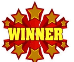 starlets and shubham club win t-20 gold cup.
