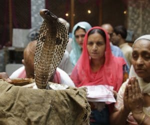 nag panchmi nag pooja in hindu dharm