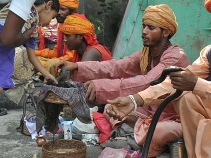 snake charmers will get permanant job in janeshwar park