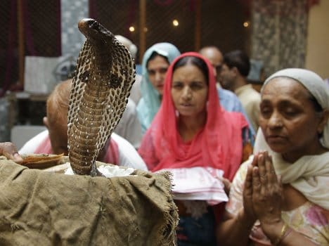 auspicious time on nag panchami after 13 years