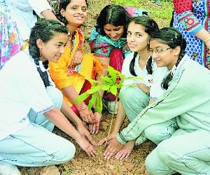 tree plantation program at sankatmochan