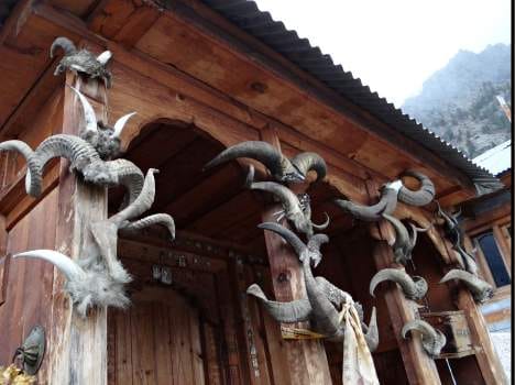 animal sacrification in himachal