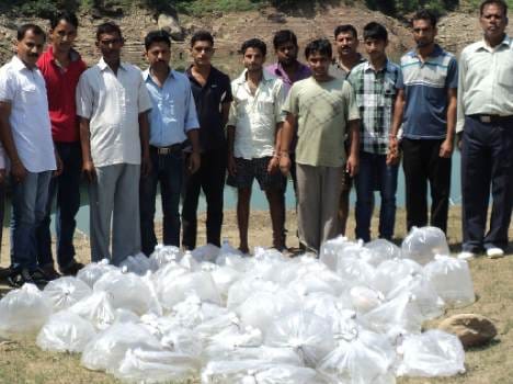 lakhs of fishes dropped in ranjit sagar jheel