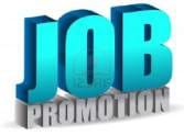irregularity in power corporation promotion.