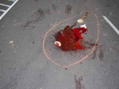 youngster death in himachal 