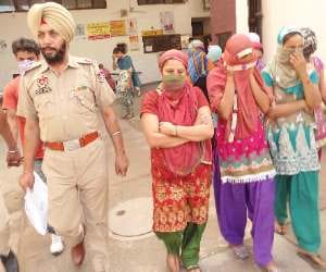 sex racket in punjab,  8 arrested