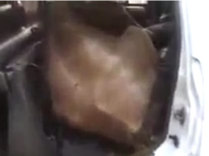 torture on cow in uttarakhand