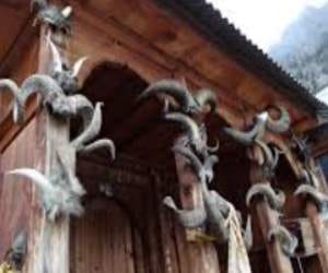 Tug of war over animal sacrifices in temples.