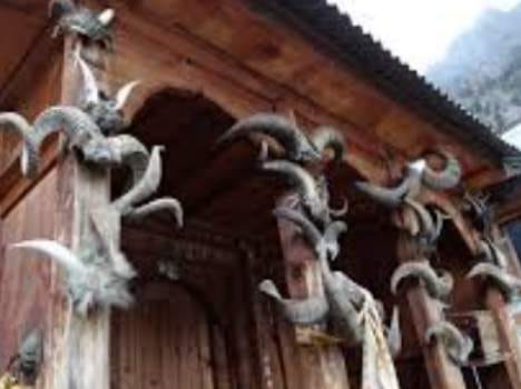 high court decesion on sacrification