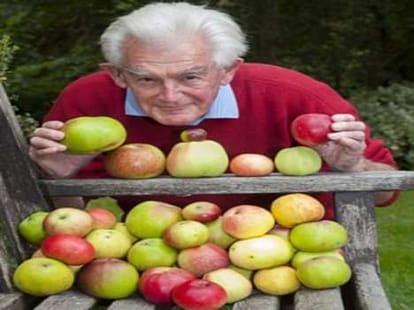 man grows up 50 varieties of apple on a single tree 