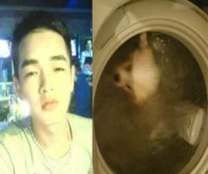 man puts dog into washing machine