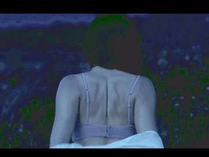 3 big controversy of finding fanny film