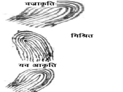 money and wealth palmistry auspicious sign