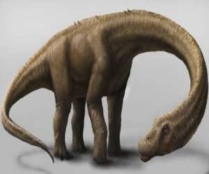 oldest fossil of dinosaur found