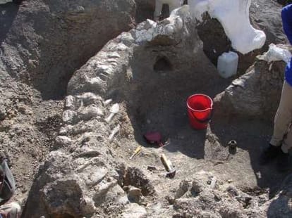 oldest fossil of dinosaur found