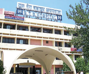 dog bites a patient in GTB hospital.