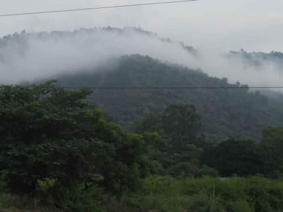 ashish dabral's effort to prevent migration from uttarakhand.