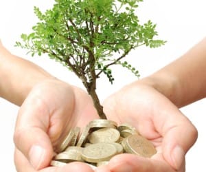do tree plantation earn money