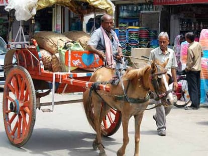 some indian professions are in close to its end.