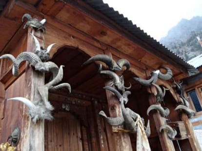 Kullu Dussehra in Himachal Pradesh.