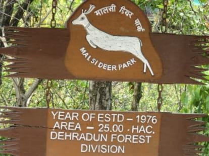 picnic spot of dehradun