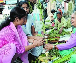 sayar fair at mandi