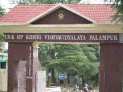 Himachal Pradesh Agricultural University, Palampur convocation.
