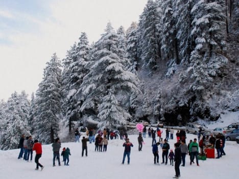kufri is a small hill station in shimla district of himachal pradesh