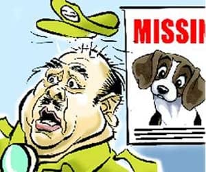 25 thousand reward for dog seekers