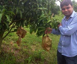 success story of saharanpur farmer.