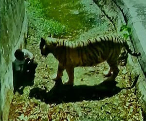 five facts of delhi zoo incident.