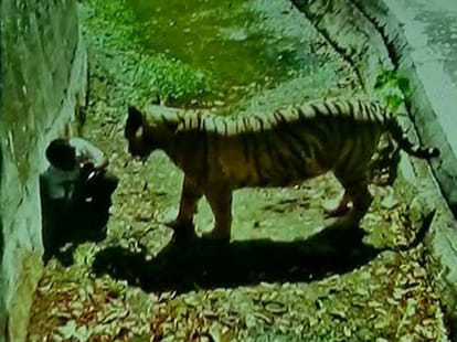 five facts of delhi zoo incident.