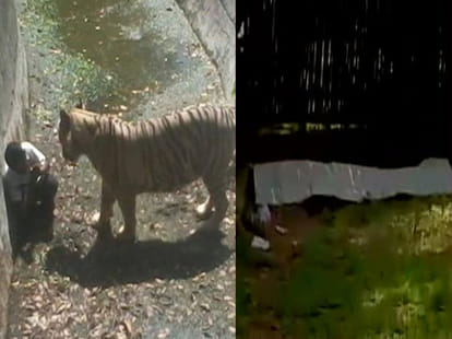 five facts of delhi zoo incident.