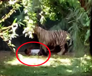 four faults of delhi zoo administation.